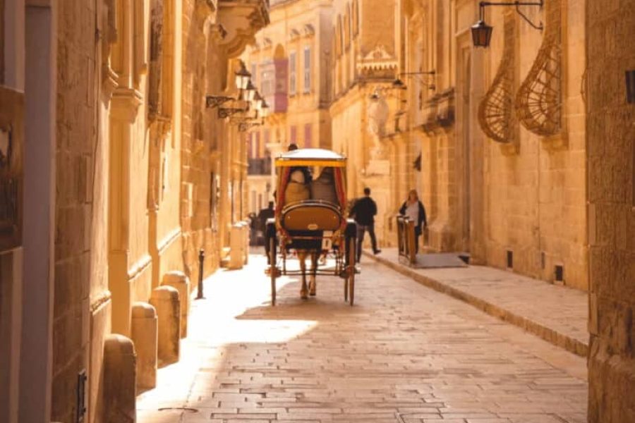 Mdina & Olive Press Tour