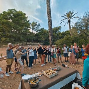 Maltese picnic